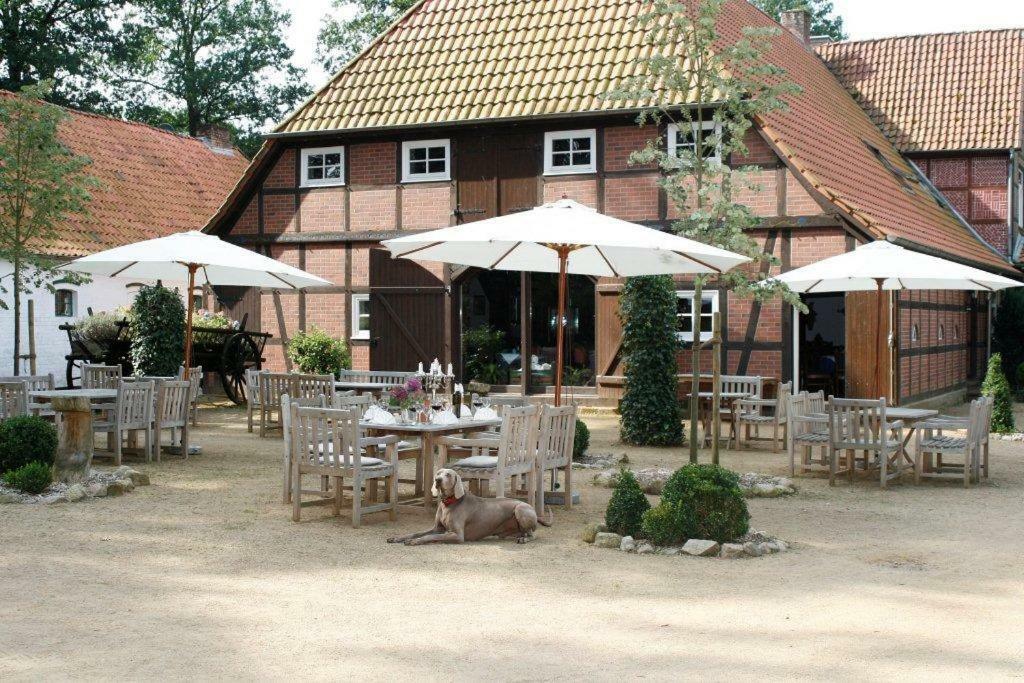 Eggershof Appartement Soltau Buitenkant foto